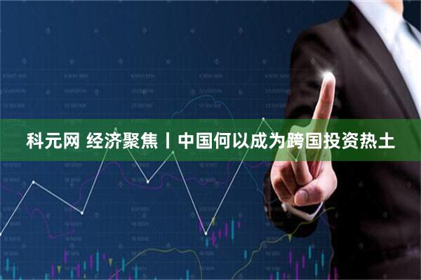 科元网 经济聚焦丨中国何以成为跨国投资热土