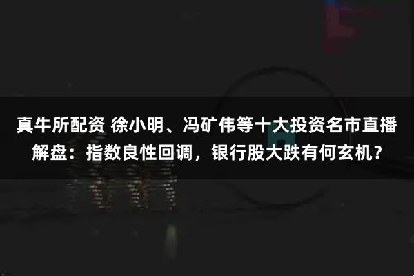 真牛所配资 徐小明、冯矿伟等十大投资名市直播解盘：指数良性回调，银行股大跌有何玄机？