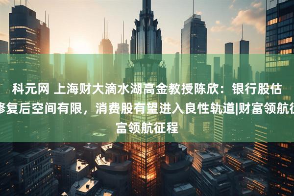 科元网 上海财大滴水湖高金教授陈欣：银行股估值修复后空间有限，消费股有望进入良性轨道|财富领航征程