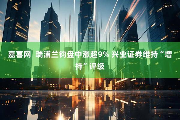 嘉喜网  瑞浦兰钧盘中涨超9% 兴业证券维持“增持”评级